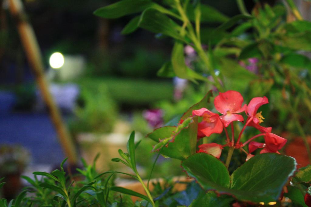 Hitachiota Yamadaya Ryokan מראה חיצוני תמונה